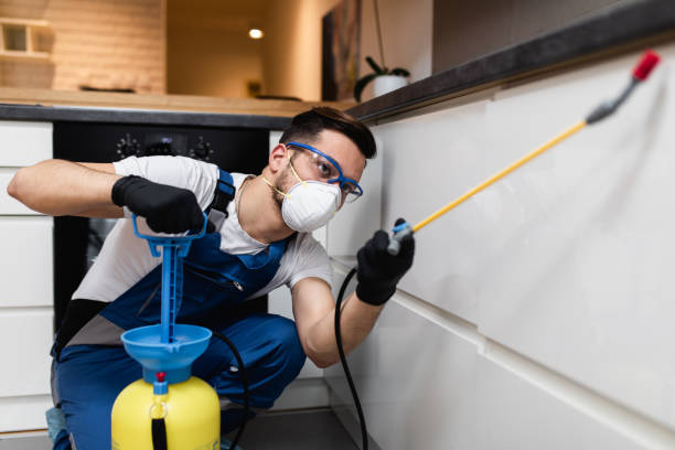 Best Wildlife Control Services  in South Bend, IN