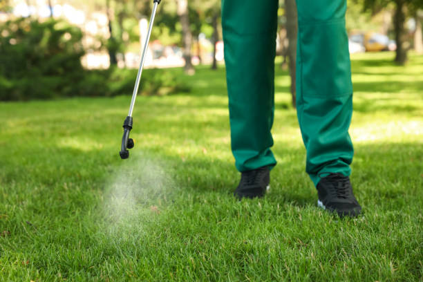 Best Insect Control  in South Bend, IN
