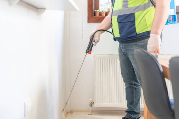 Best Rat Extermination Near Me  in South Bend, IN