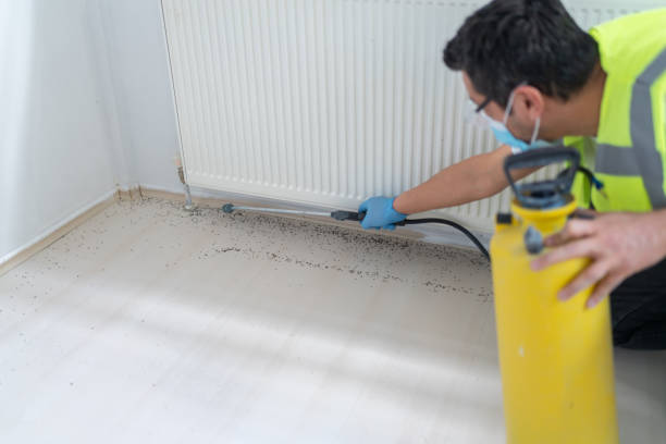 Best Pest Control for Homes  in South Bend, IN