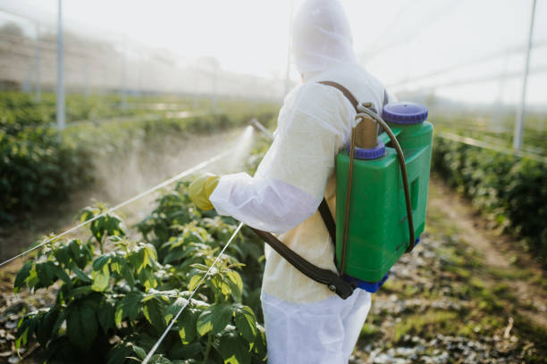 Best Emergency Pest Control  in South Bend, IN